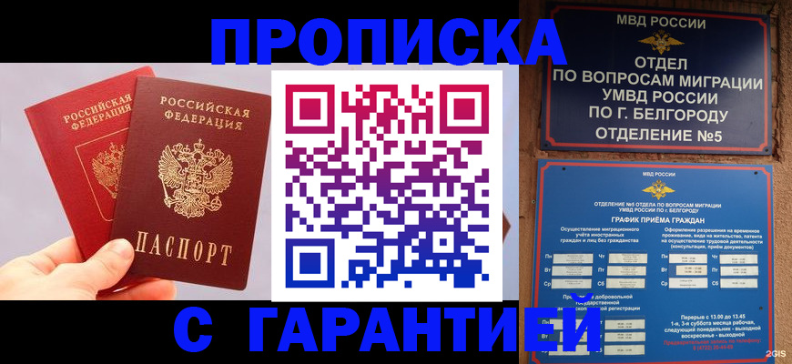 прописка 2025 в Липецке